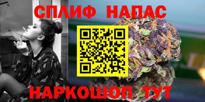 дживик Будённовск