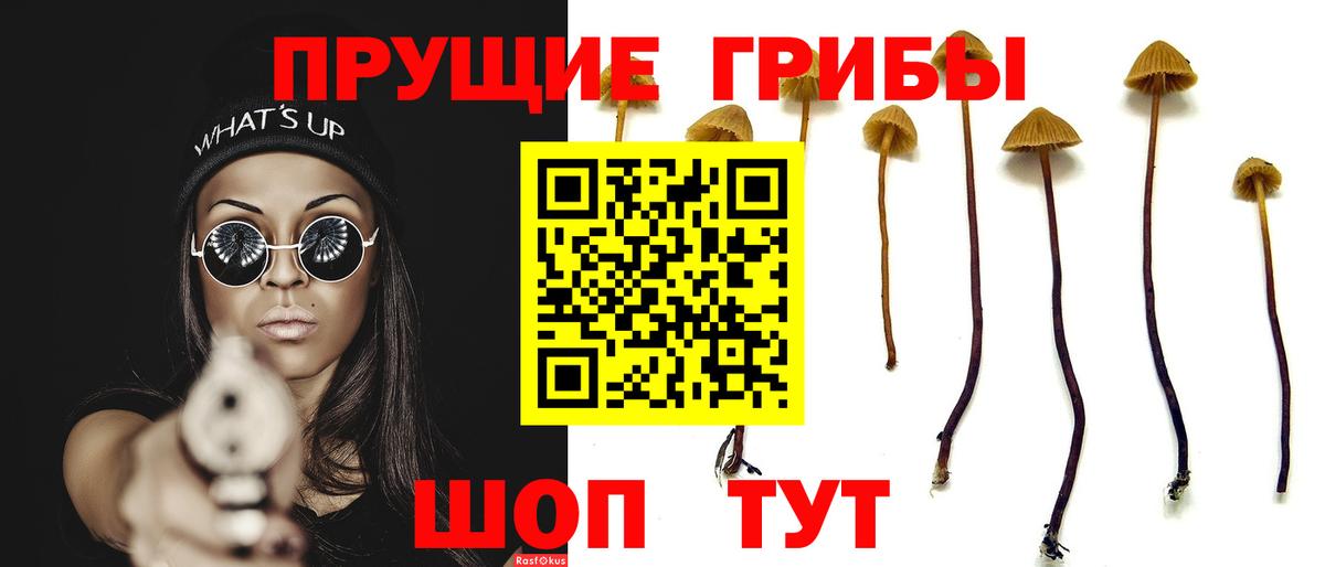 Псилоцибиновые грибы прущие грибы Салехард